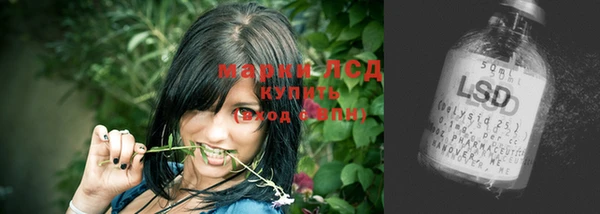 стафф Алзамай