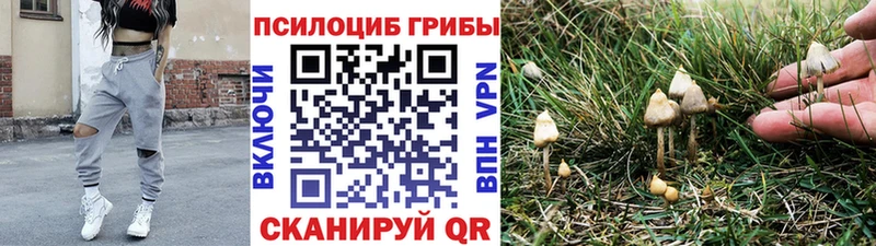 Псилоцибиновые грибы ЛСД  купить наркотик  Тюкалинск 